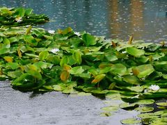 -湖州太湖旅游度假区-月亮广场