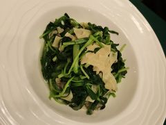 -老吉堂上海本帮菜(望京万象汇店)