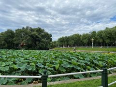 -平房公园