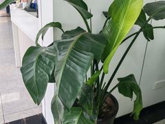 -七的湖·晚芳亭·阳澄湖农家菜·大闸蟹(莲花岛店)