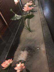 -诗泥SPA