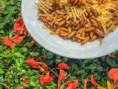 -缘生态云南菜·野生菌庭院餐厅(华侨城店)