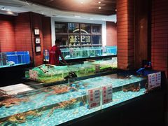 水产区-广东道至正餐厅(区庄店)