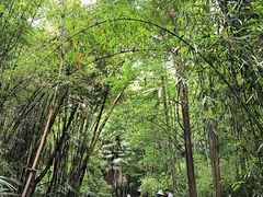 -凤栖山