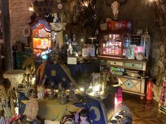 -雪灵魔法世界SHELLY’S TAROT(大良桂畔里店)