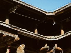 -初溪土楼群