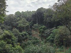 -广州市白云山风景名胜区