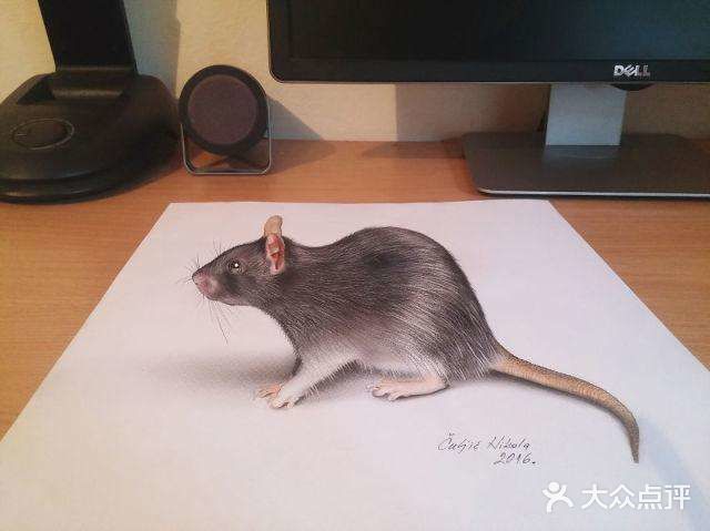 以假乱真的3D画👏这也太神奇了～