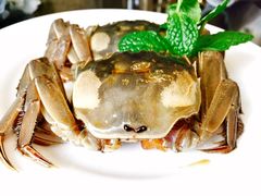 -新光酒家·河豚·海鲜·蟹料理(浦东店)