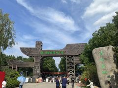 -溱湖国家湿地公园