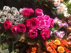 -循礼门鲜花花市(武汉循礼门店)