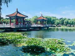 -长春市南湖公园