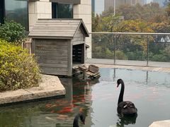 -行者书屋大堂吧 ·下午茶(南京圣和府邸酒店)