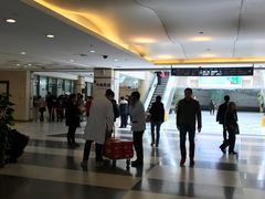 -上海中医药大学附属曙光医院(东部)