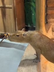 -Zoolung Zoolung动物主题公园(海信广场店)