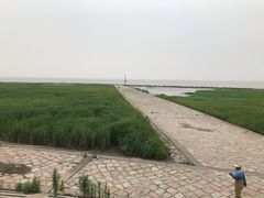 -南汇嘴观海公园