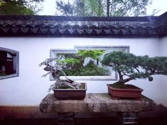 -上海醉白池公园
