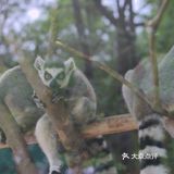 公主在逃城堡