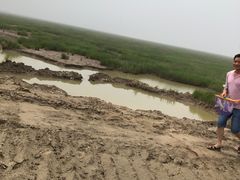 -小洋口旅游度假区