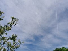 -广富林郊野公园