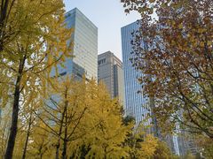 -重庆市江北嘴中央商务区中央公园