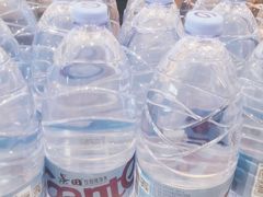 -颐辰舍岁岁羊(文昌万达景园店)