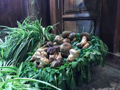 -大理董·董家小厨野生菌火锅(古城旗舰店)