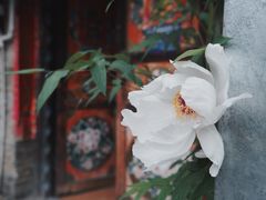 -甘堡藏寨