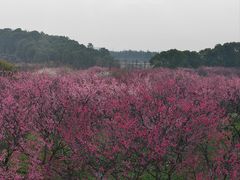 -凤凰沟景区
