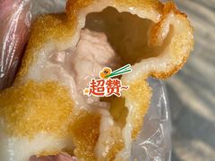-黎里古镇