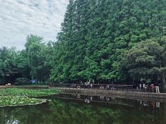 -八大关景区