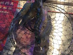 -钳真多钓虾馆·小龙虾海鲜烧烤(九六广场店)
