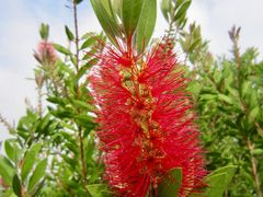 景点-湖光岩风景区