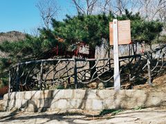-沂蒙山旅游区云蒙景区(蒙山国家森林公园)