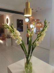 -水沐莲清瑜伽·普拉提