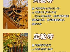 -埠口精酿夜景餐酒吧· BREWPORT BISTRO(长嘉汇重庆之眼店)