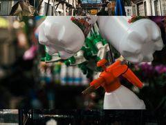-万商花鸟市场