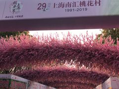 -南汇桃花村