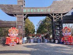 -溱湖国家湿地公园