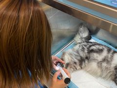 -萌兽医馆·犬猫专科·眼科中心·宠物医院(朝阳门分院)