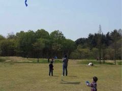 -蜀冈西峰生态公园