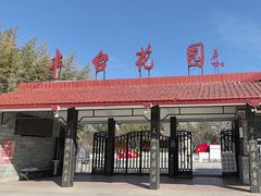 -丰台花园