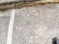 -吴淞老街砂锅馄饨(北兴路店)