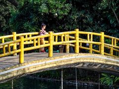 -晓港公园
