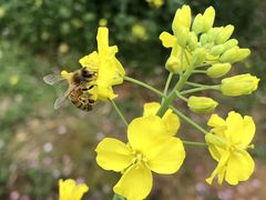 -南京市无想山景区