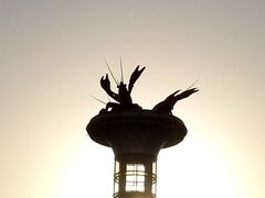 -红胖胖龙虾王·本地菜