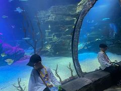 -沈阳海洋探索中心