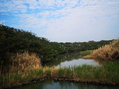 -大湾区中央湿地公园