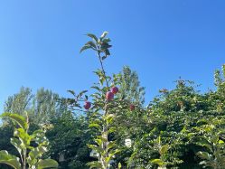 -优沃得自然教育农场·冰雪乐园·生日会·研学