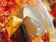 -谭鸭血老火锅(七宝万科广场店)